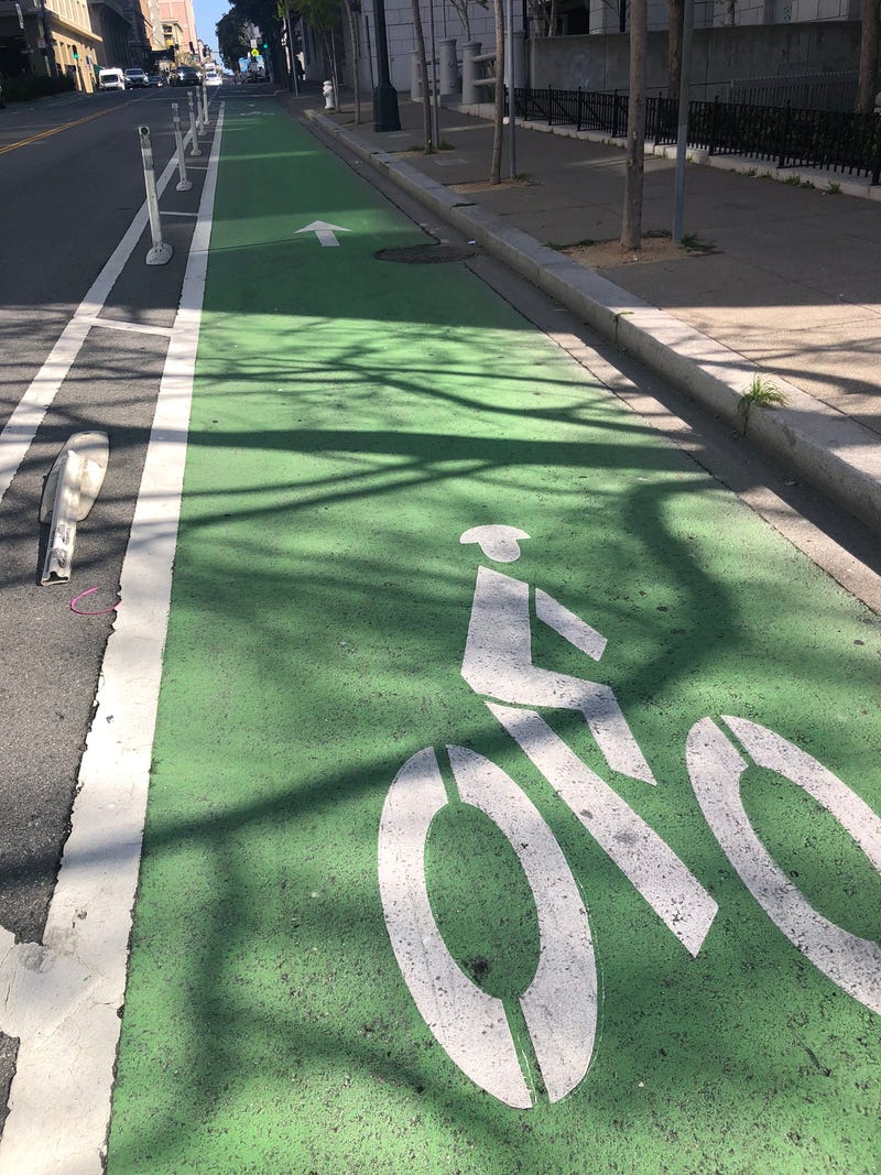In the wake of the death of a world champion cyclist in San Francisco earlier this month, bike advocates are calling for better traffic protections.