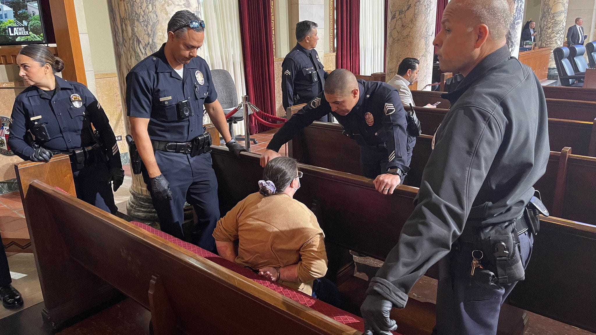 Woman arrested at LA City Hall for allegedly taking away another protester’s swastika sign
