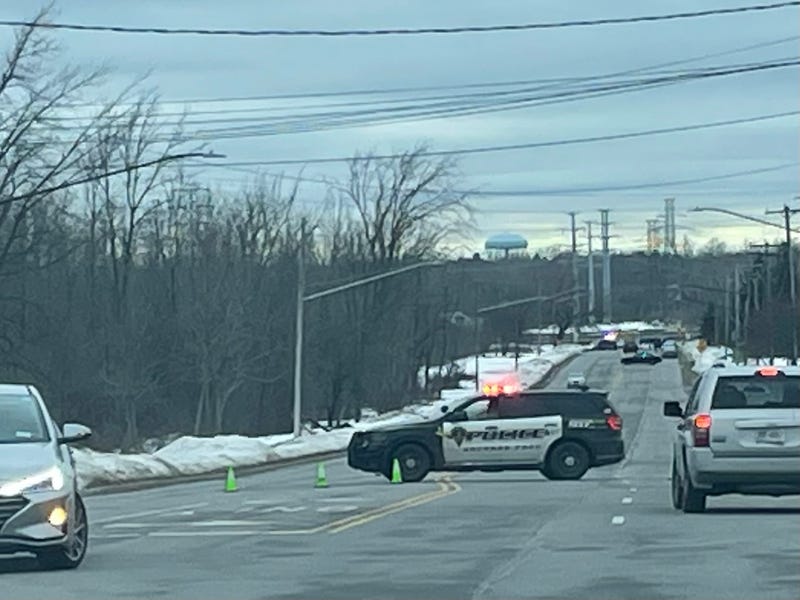 Hamburg officer-involved shooting
