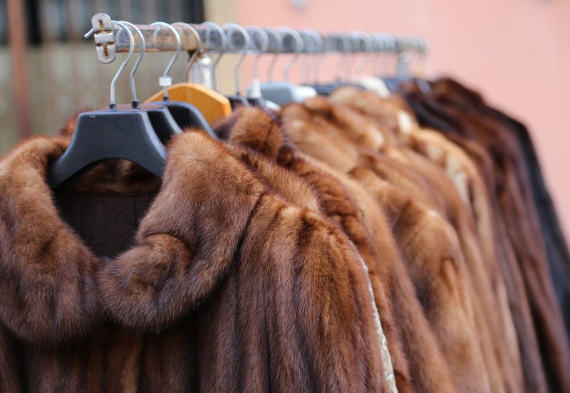 Carl Herrman Furs
