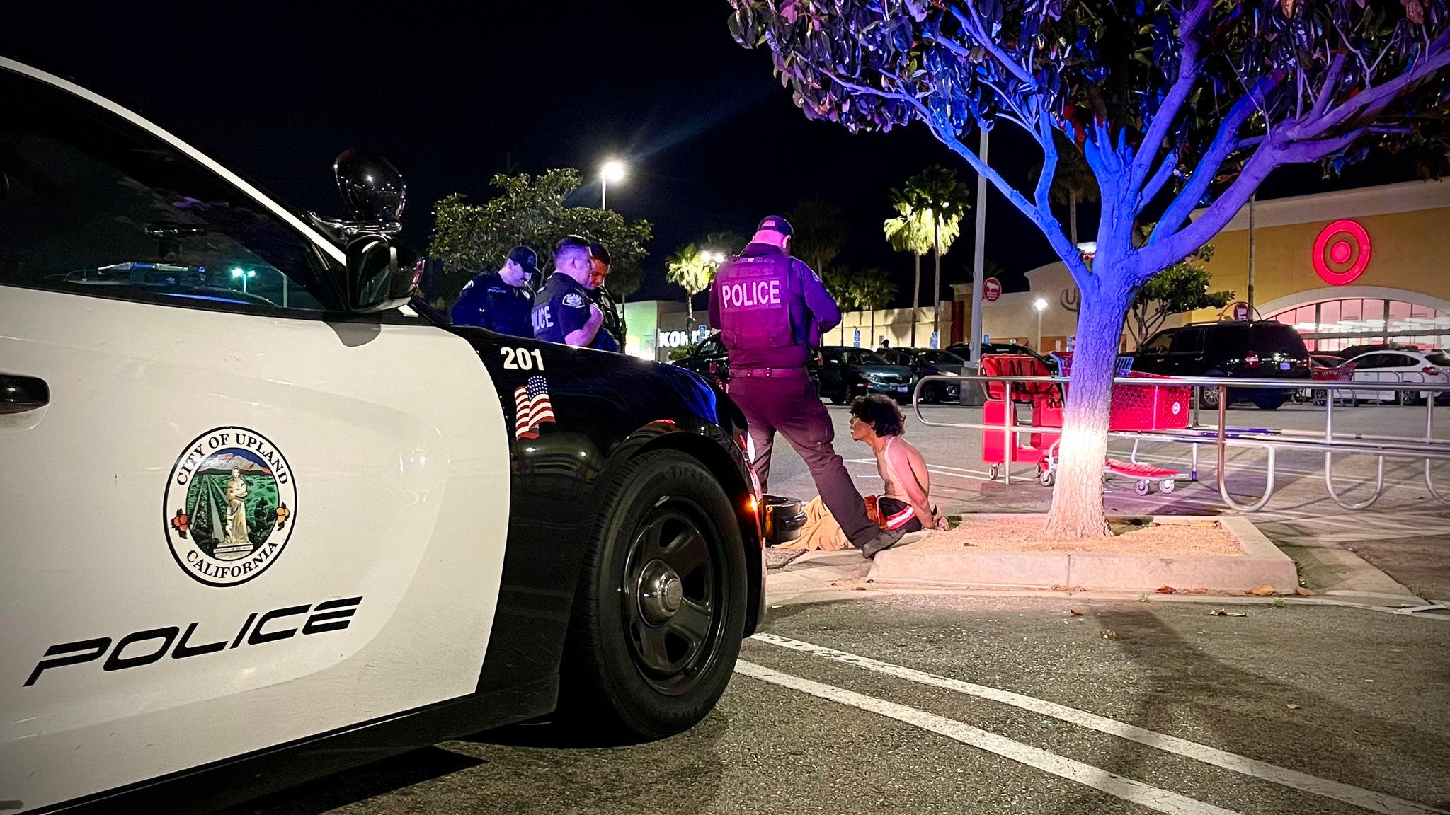 Upland Police arrest suspected serial LEGO thief
