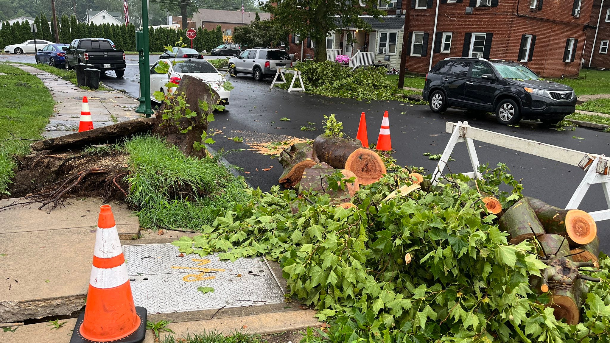 Severe weather downs trees, knocks out power, floods roads