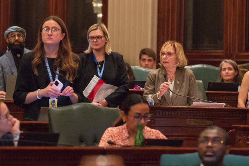 House Majority Leader Robyn Gabel, D-Evanston, presents her budget bill to the Illinois House on Saturday, May 31.