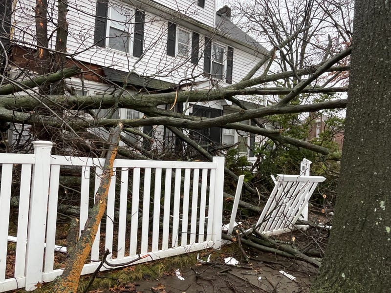 A tree came down on a home on 41st Avenue in Flushing