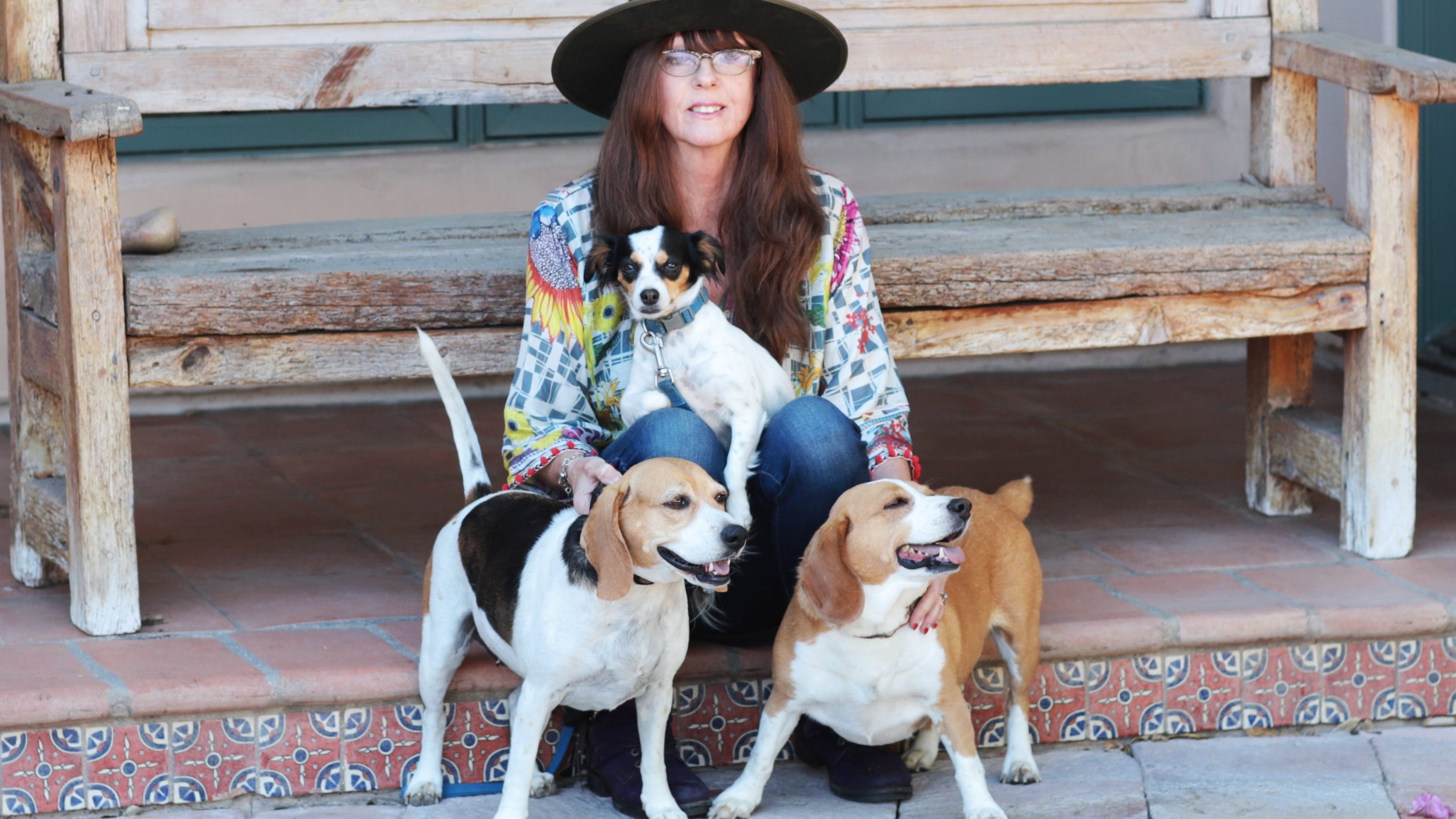KNX Hero helps hundreds of at-risk dogs find their forever home