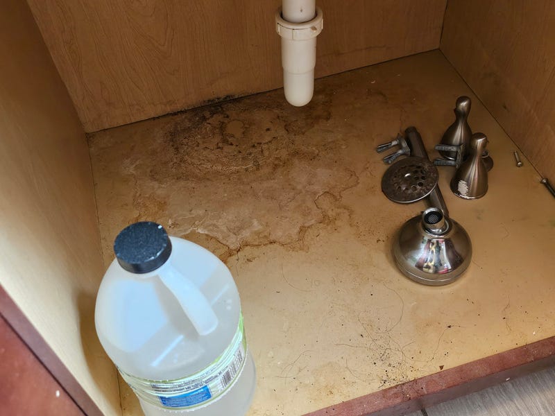 Water damage and mold aren't the only issues reported by tenants of Washington Park Homes. Some residents said they've had to resort to heating their apartment with an open oven, which has resulted in very high energy bills.