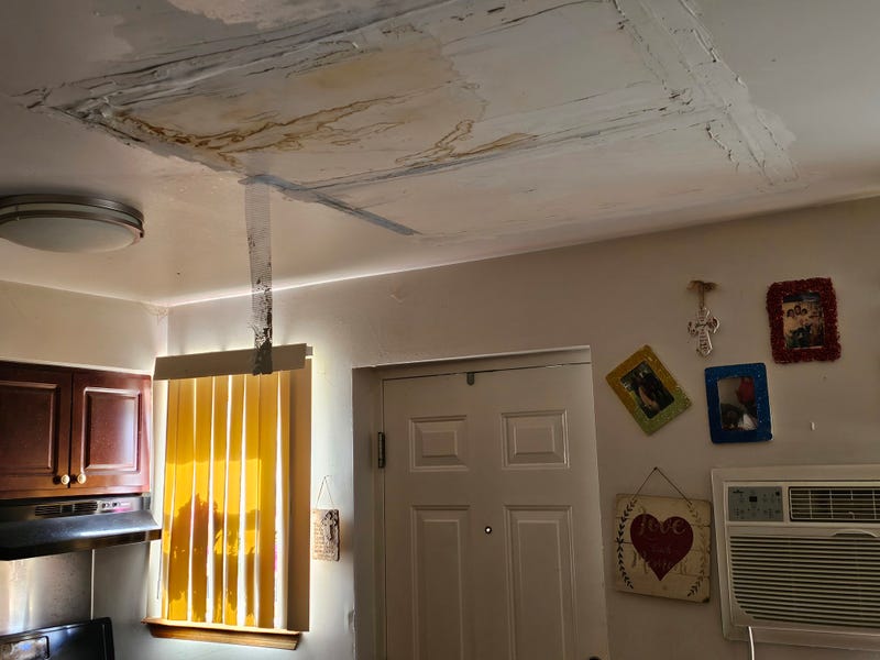 “We keep getting leaks,” said longtime tenant Nicole Moore. “When I turn on my tub water, it leaks down into this bucket, and there’s mold under here that they just keep cleaning out.”