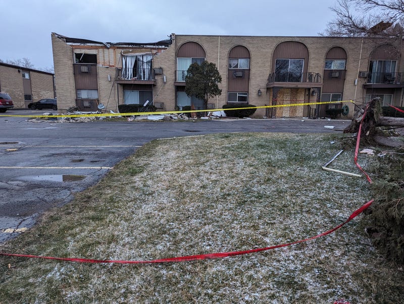 uprooted trees, damaged building