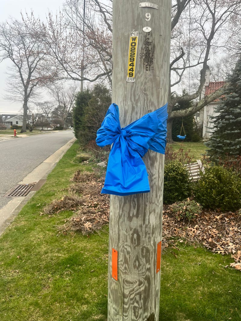 Blue ribbons have been put up across Massapequa Park