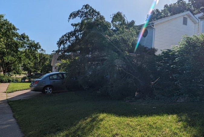 a downed tree covers a front yard in Oakville, Missouri