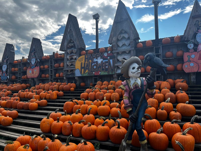 The Great Pumpkin Farm