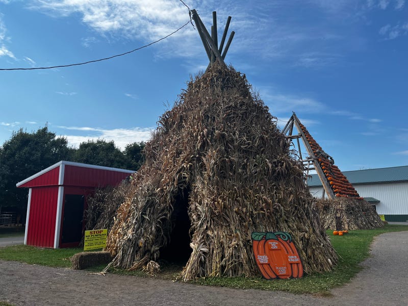 The Great Pumpkin Farm