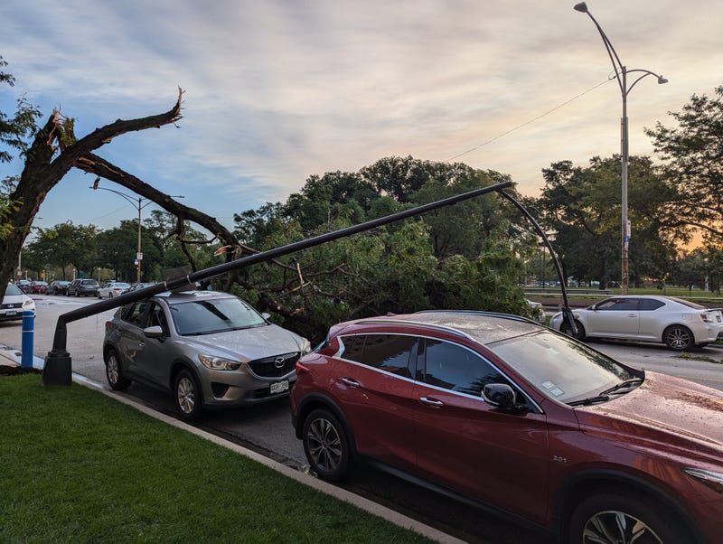 light pole and tree branch land on car