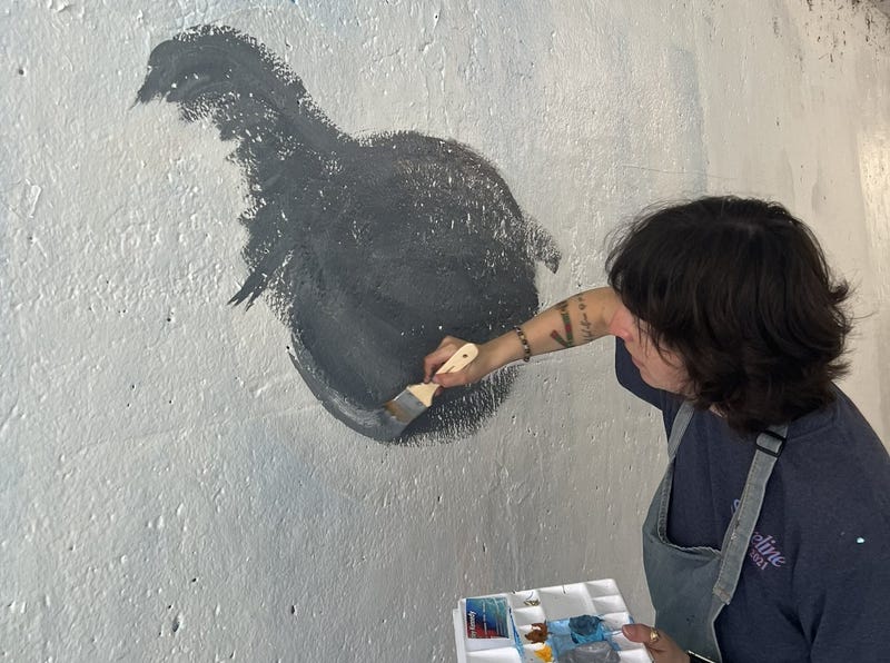 Chicago artist Ashley Kennedy repaints a piping plover mural in the Buena Avenue Underpass, located, underneath DuSable Lake Shore Drive in the city's Uptown neighborhood. Kennedy's original mural was whitewashed by the Chicago Park District in July 2024.