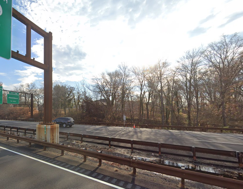 Four dead dogs were found on the Garden State Parkway South in Monmouth County, New Jersey on Feb. 27, 2025.