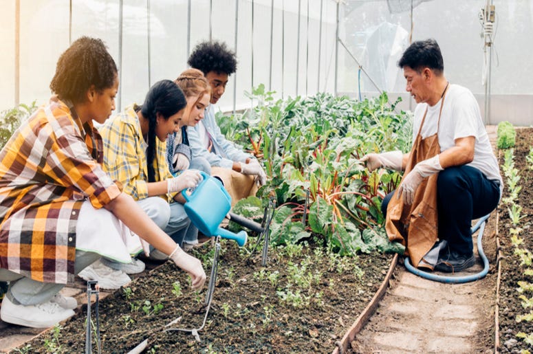 Gardening