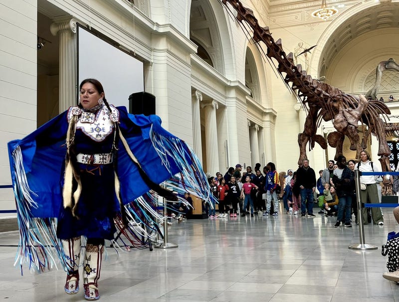 A celebration of Native American Heritage Month took place at the Field Museum earlier this week.