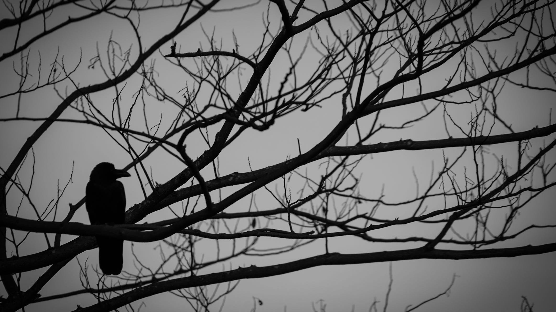 5 Horror Movies With Environmental Undertones