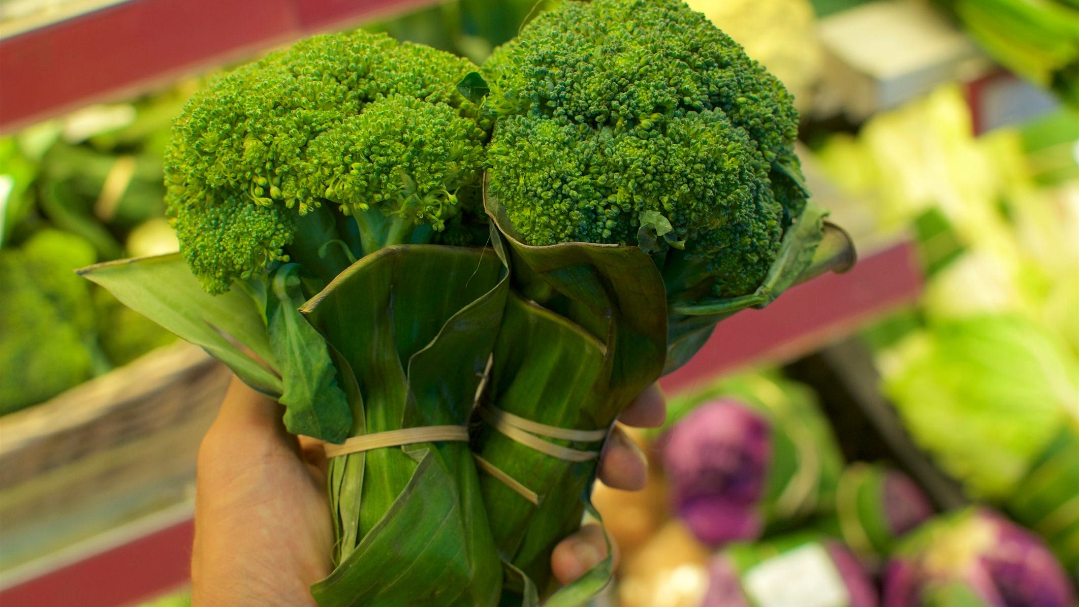 This Supermarket Has the Perfect Solution to Replace Plastic Packaging