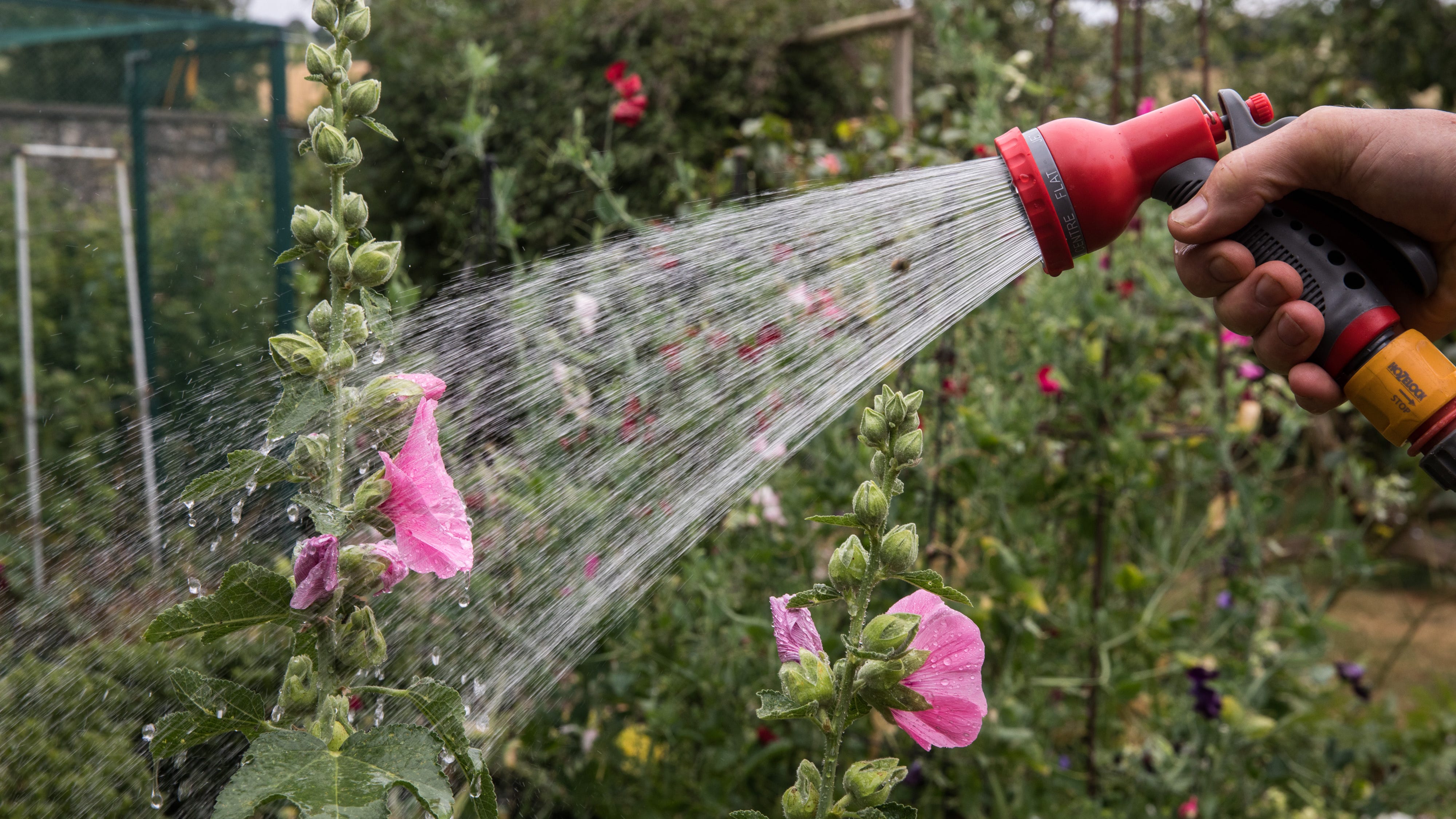 How to water your garden correctly