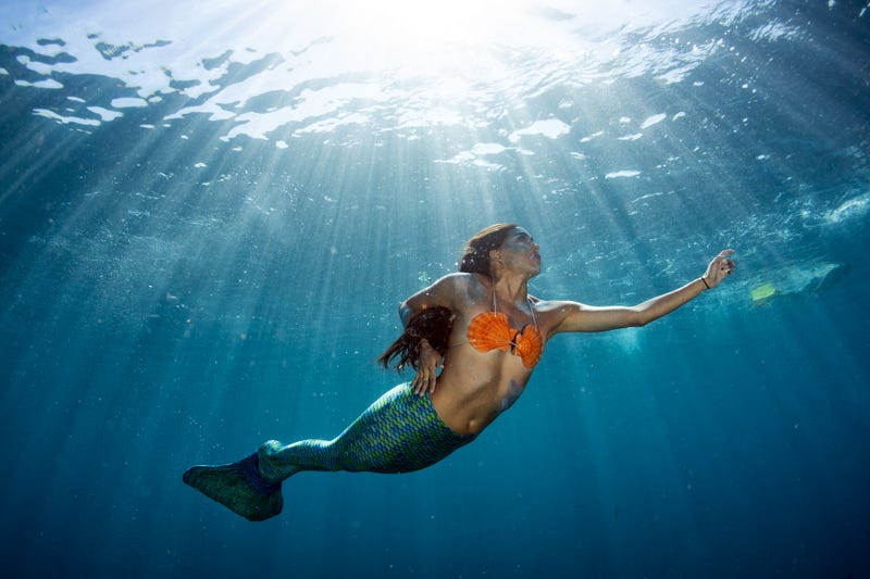 Mermaid