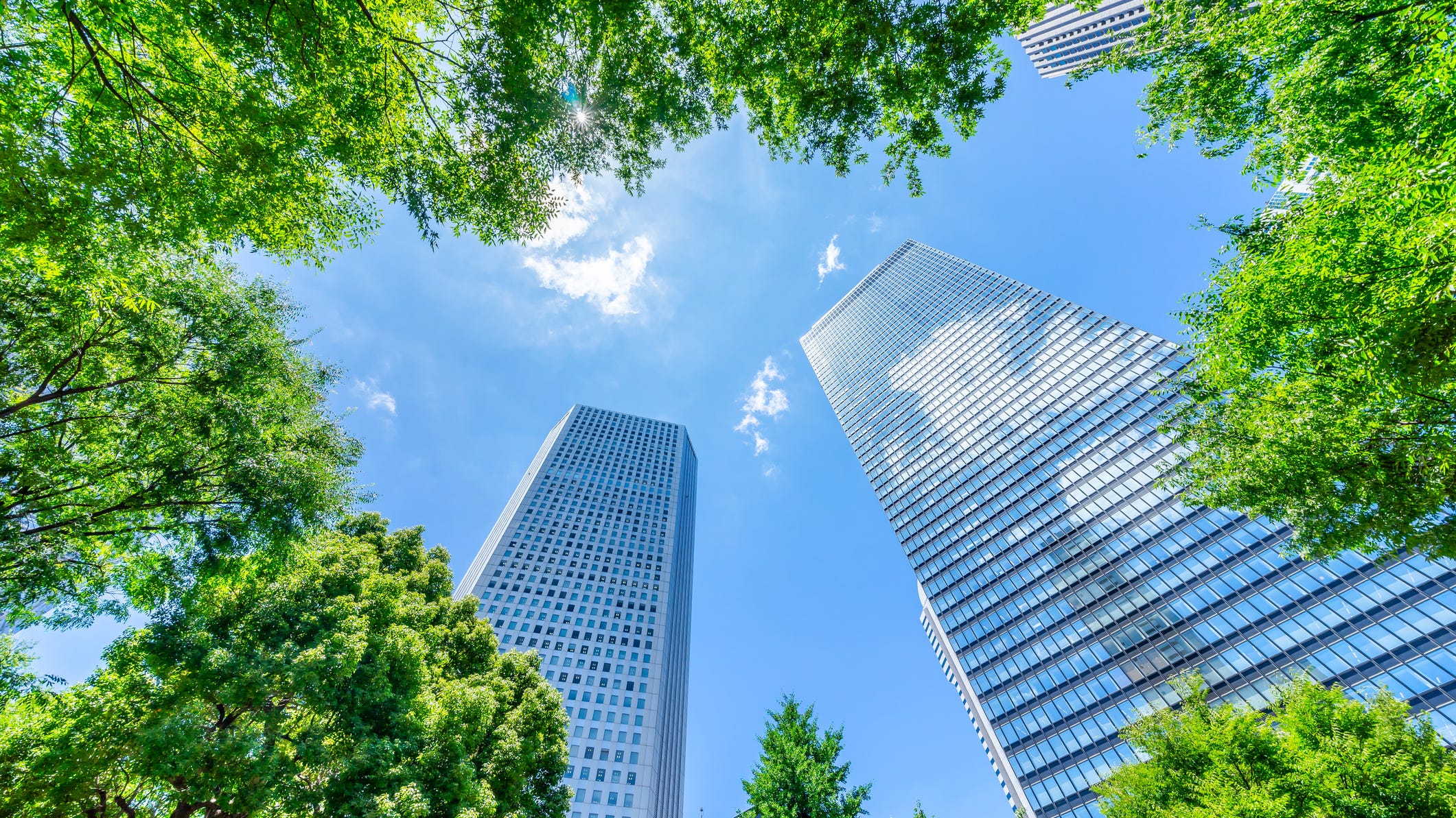 The Most and Least Green U.S. Cities of 2020