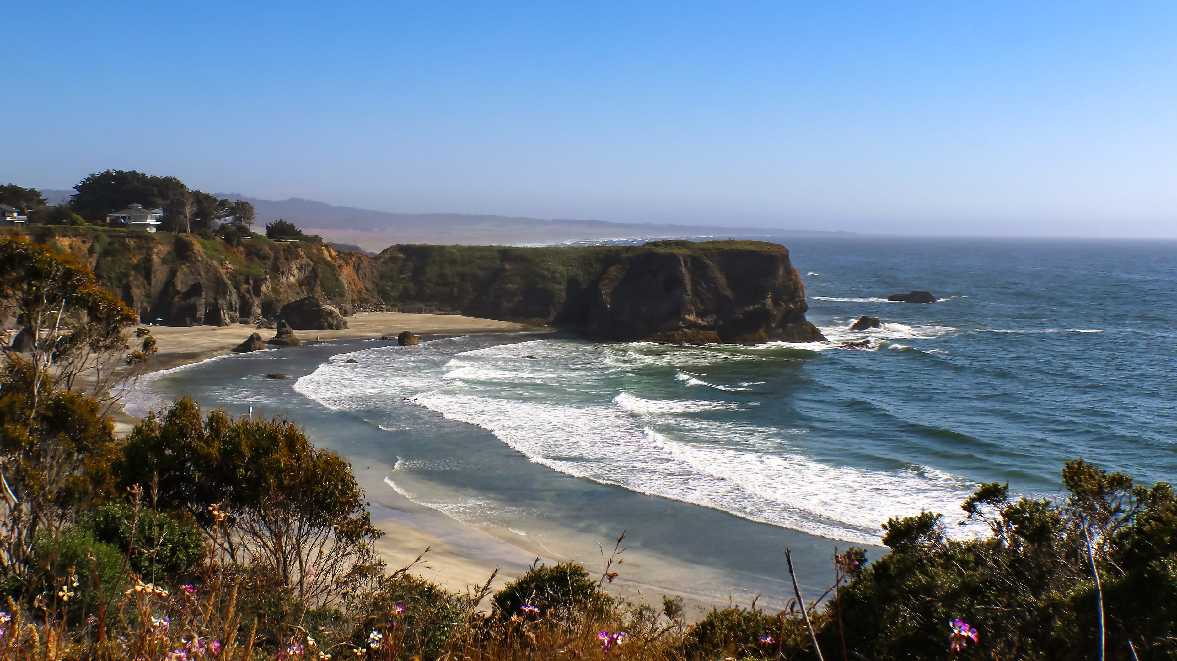 Unknown whale species washes up on beach in California