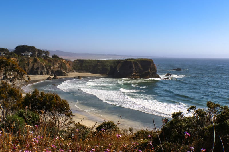 The tide rolls in to the shore around a bay and headland south of Mendicino California with defocused purple flowers in the foreground and misty shore and horizon stretching out behind.