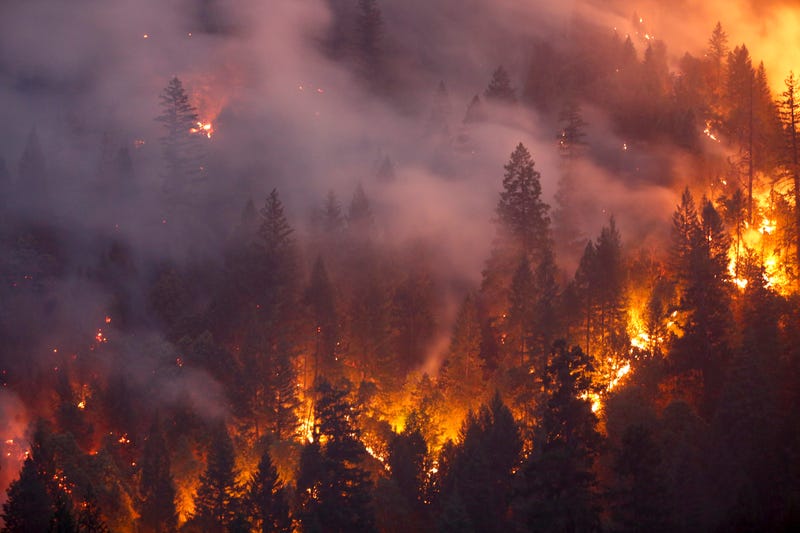 Forest burns in the Carr Fire on July 30, 2018 west of Redding, California.