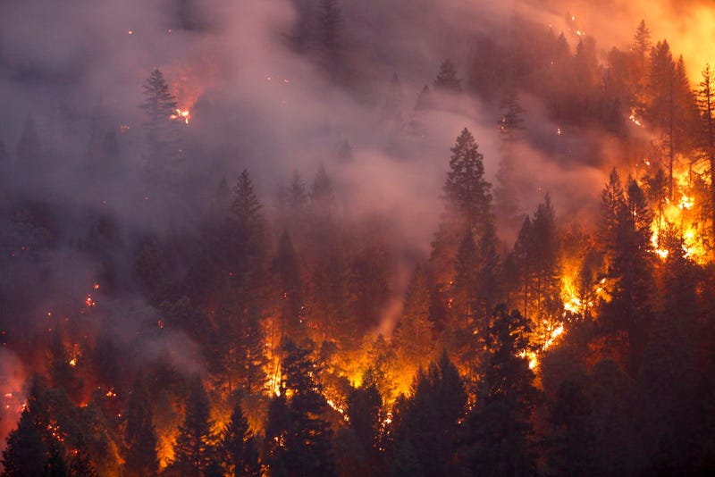 Forest burns in the Carr Fire on July 30, 2018 west of Redding, California.
