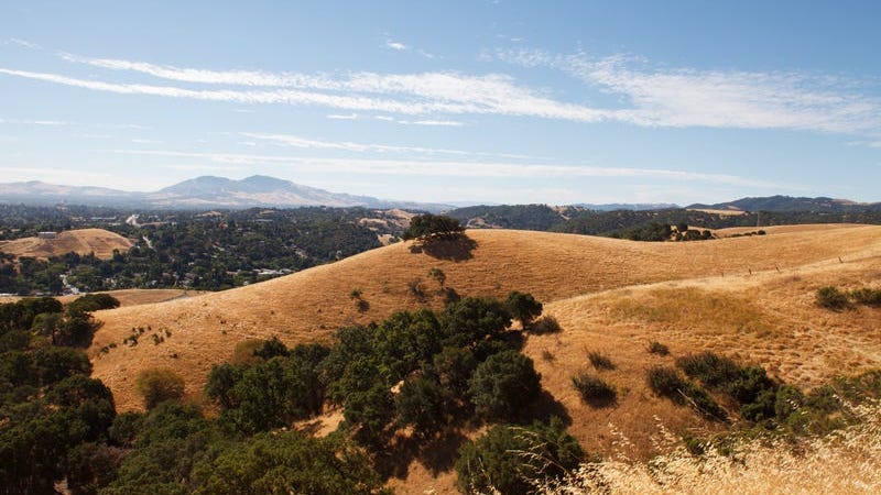 NWS issues Red Flag Warning citing wildfire risk in North Bay, East Bay