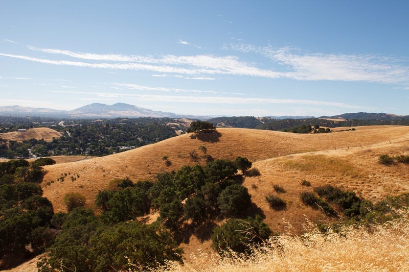 A Red Flag warning has been issued for areas of the North and East Bay.