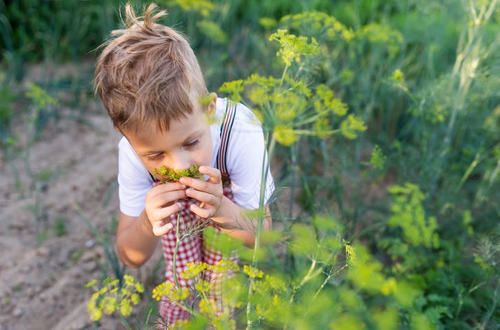 Child In A Garden