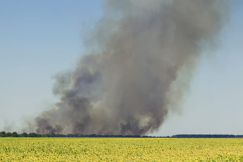 Field Burn