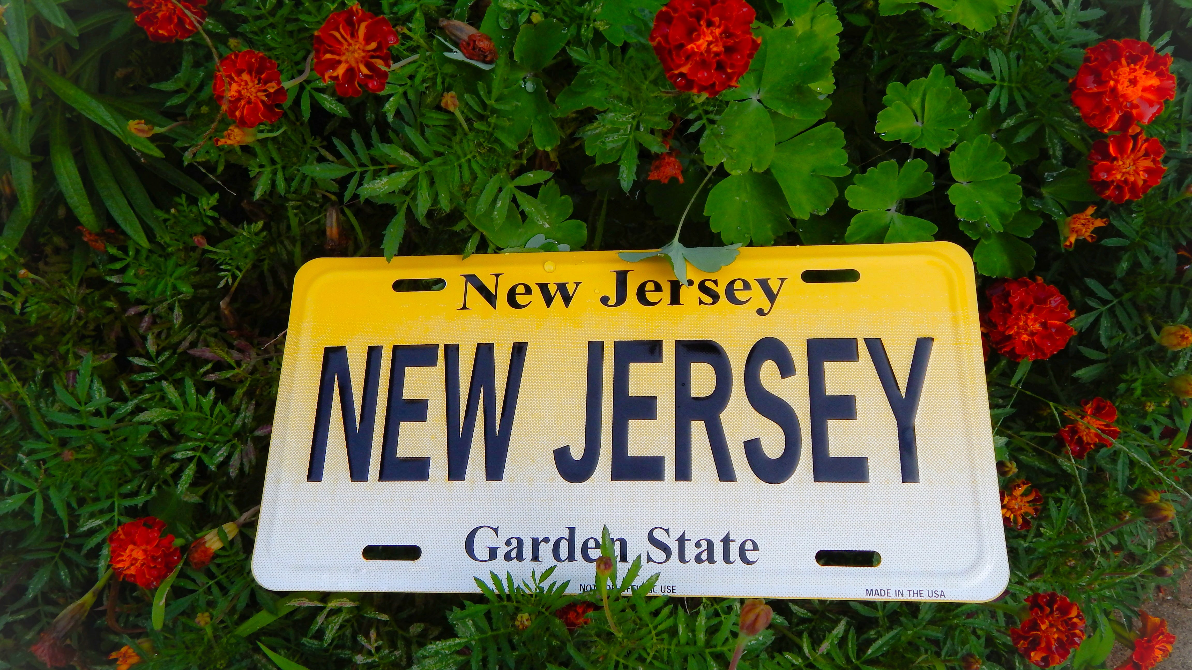 NJ legislators want to put an end to ticketing for license plate frames