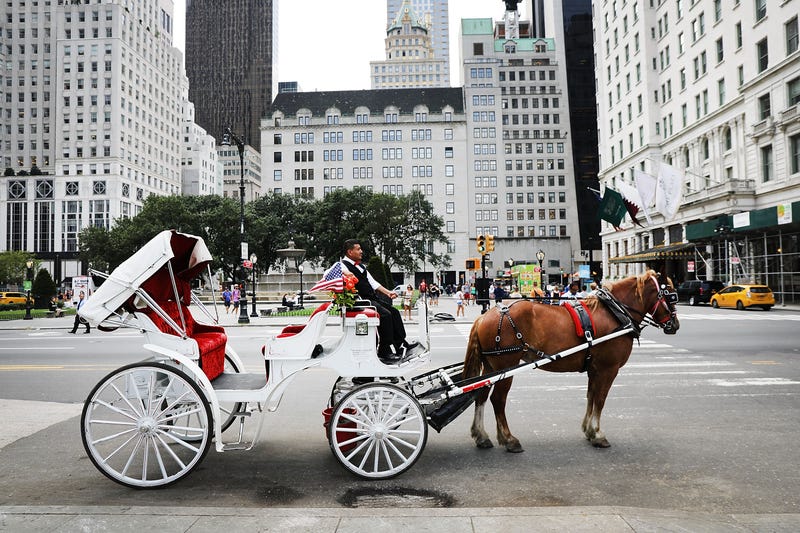 A carriage horse and driver pause near Central Park. The industry has faced increased scrutiny in recent years