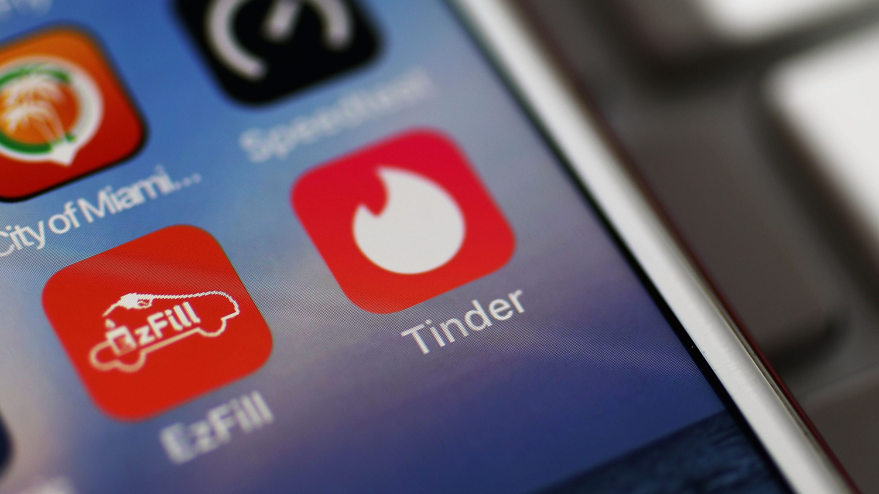 Animal shelter puts their pets on Tinder, looking for their purrfect matches