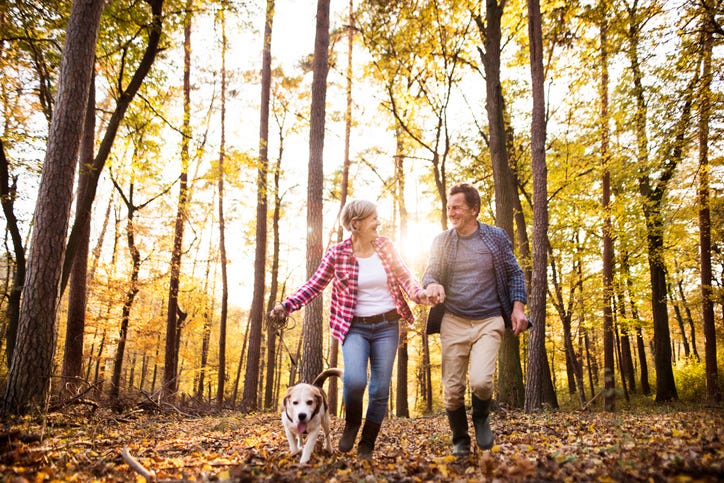 free entry to parks in Veterans Day