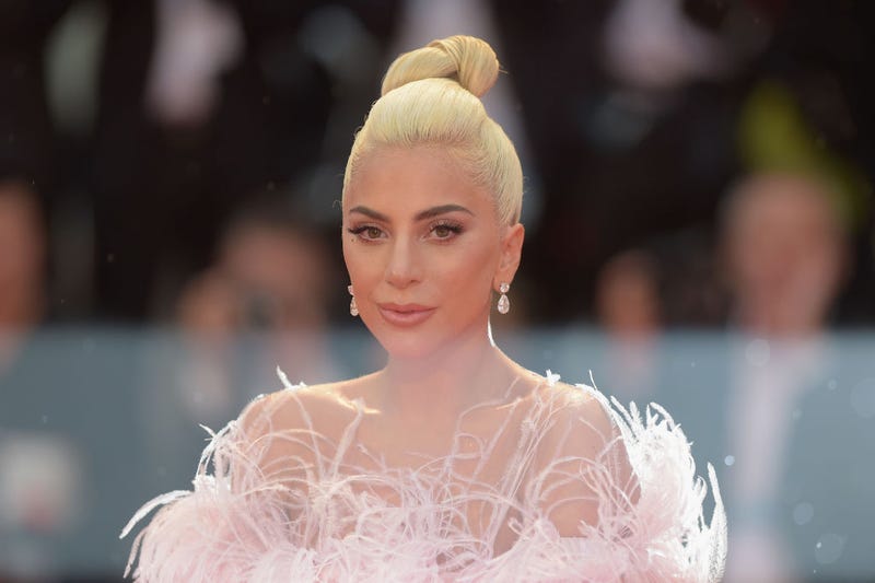 Gunman Pleads No Contest in Shooting of Lady Gaga's Dog Walker