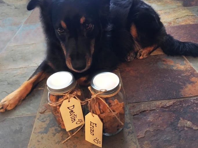 dog treat jar