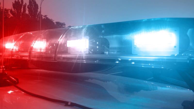 19-year-old found fatally shot in Dallas wooded area