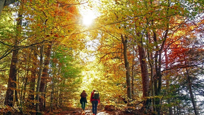 Fall hikes for beginners offer opportunities to explore Montgomery County