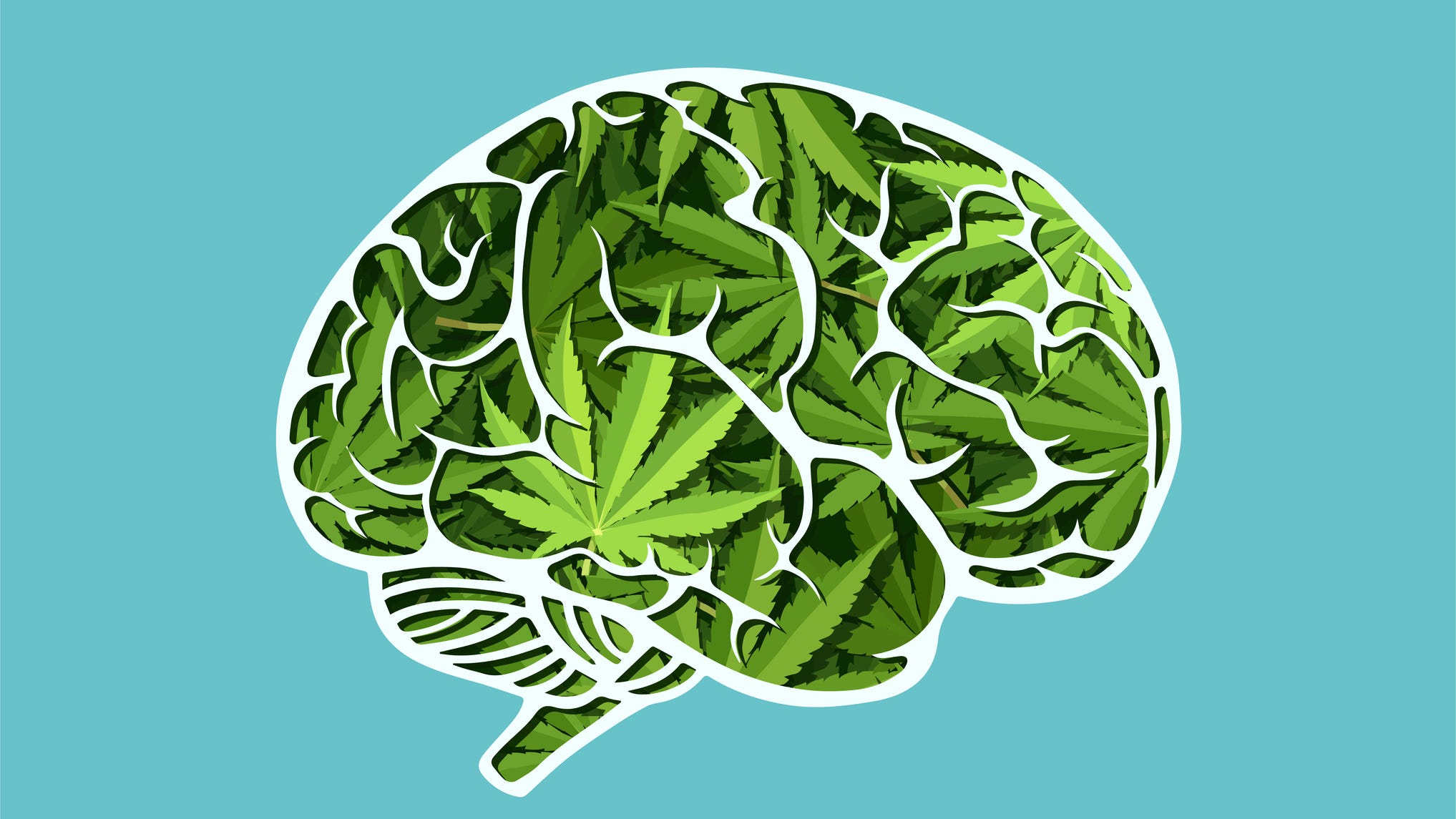 California may put mental health warning on pot products