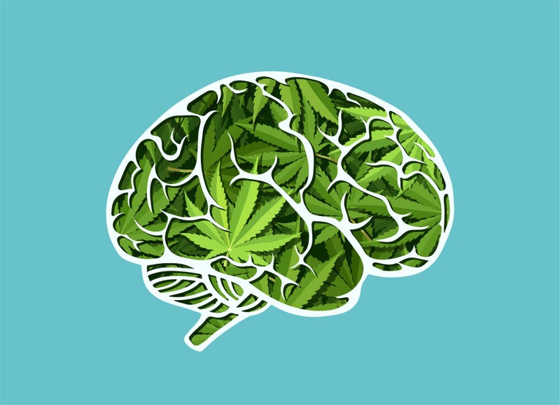 Pot leaves on a brain stock image.