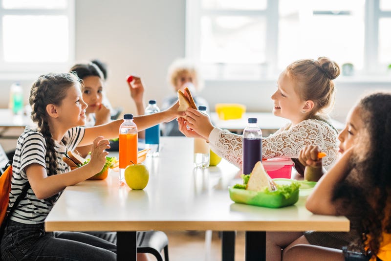 schoolgirls having lunch at school cafeteria