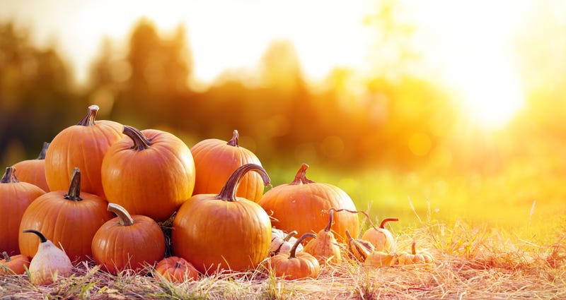 pumpkins