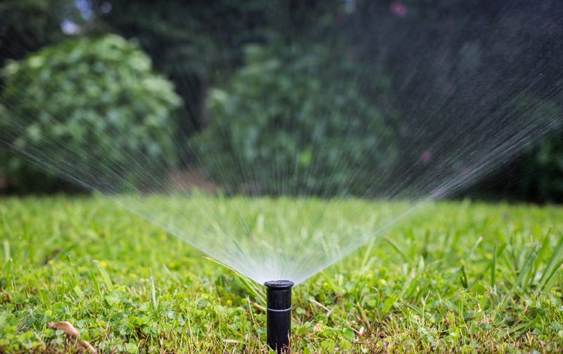 Water