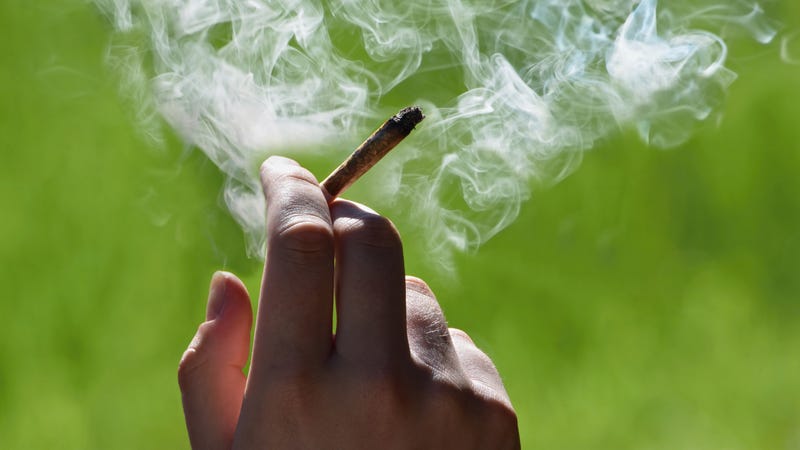 A marijuana joint in someone's hand