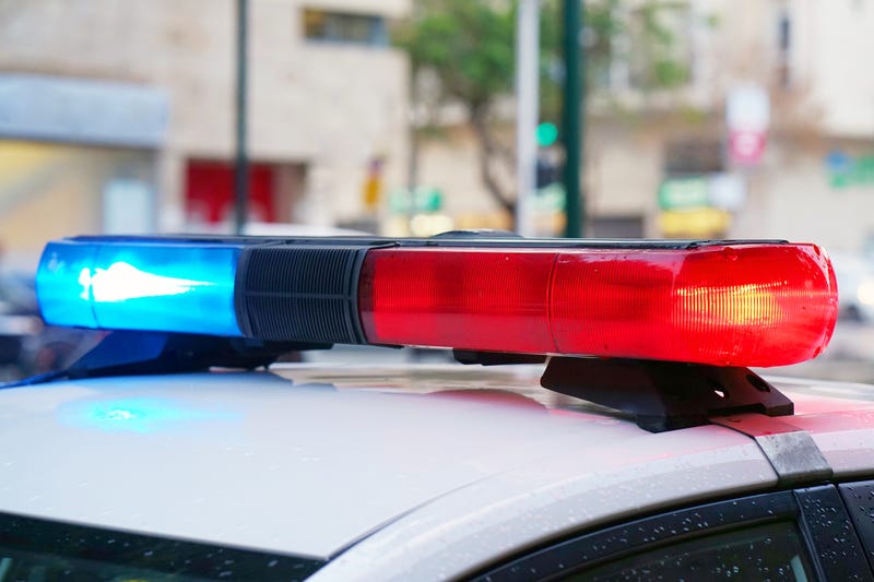 police car