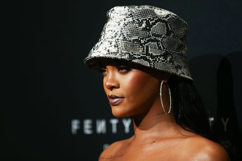 Rihanna's lingerie brand, Savage X Fenty, is coming to the Motor City after the business announced on social media that it is building stores in six locations across the county.